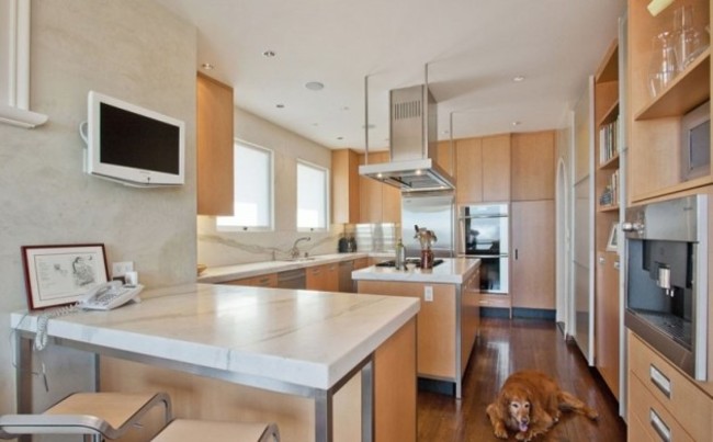 the-kitchen-is-spacious-and-comes-with-all-of-the-necessary-built-in-appliances-though-we-dont-think-the-dog-is-included-in-the-deal