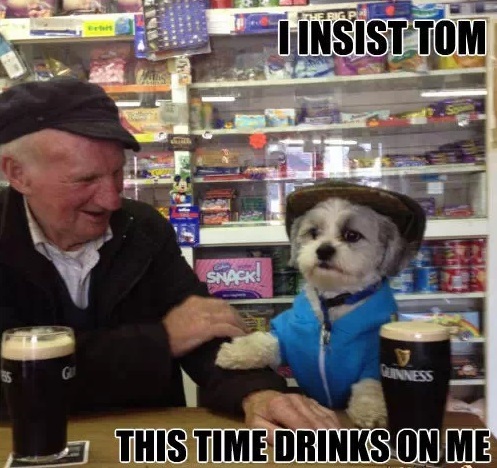 The great story behind *that* photo of a dog and an auld lad having a  Guinness