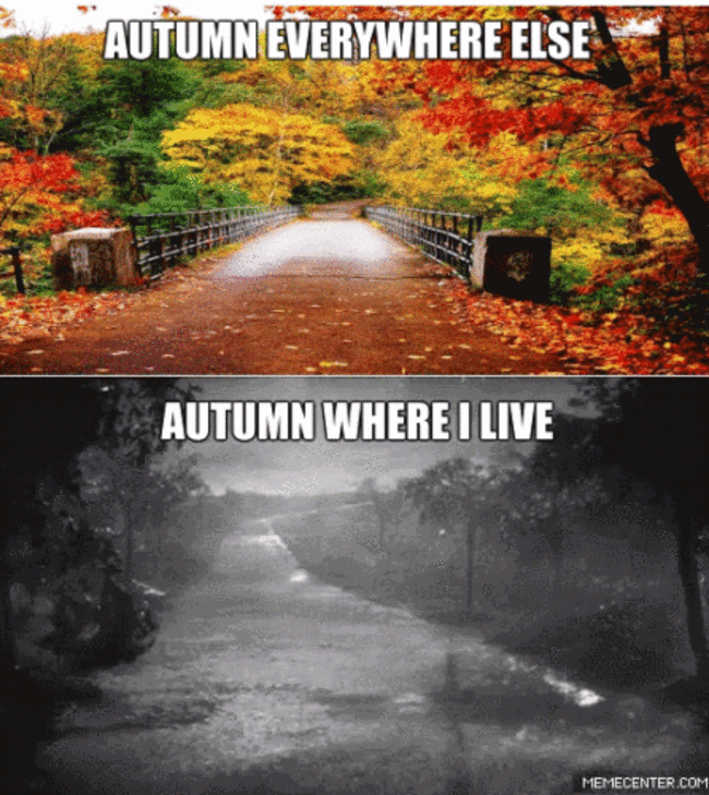 autumn