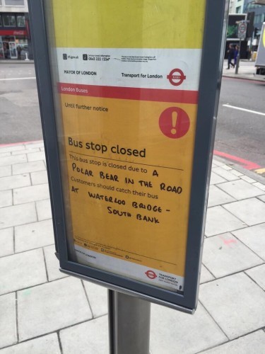 Best reason for a bus stop closure.