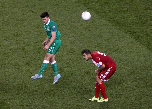 Shane Long and Aleksandre Amisulashvili