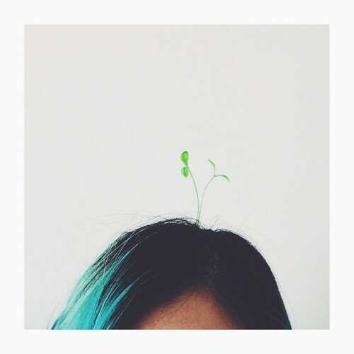 head sprouts