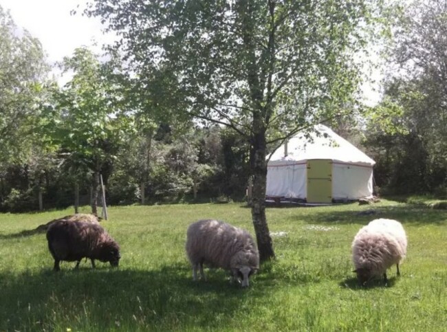 yurt