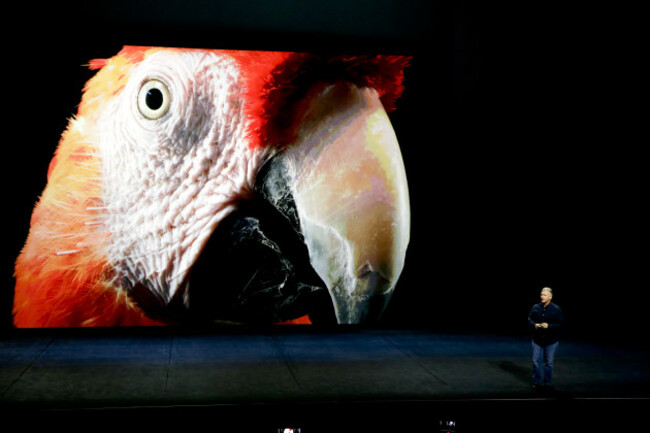 Apple