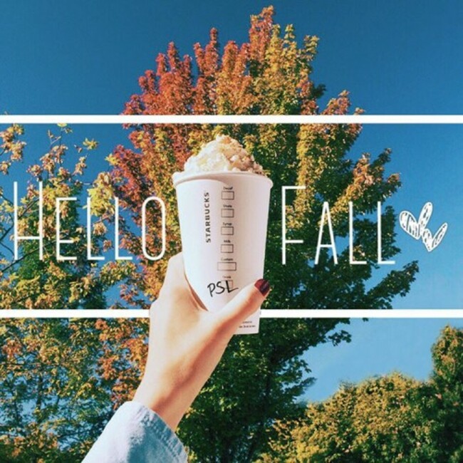 The leaves aren't changing. They're blushing with happiness. The #PumpkinSpiceLatte is back. #PSLisBACK