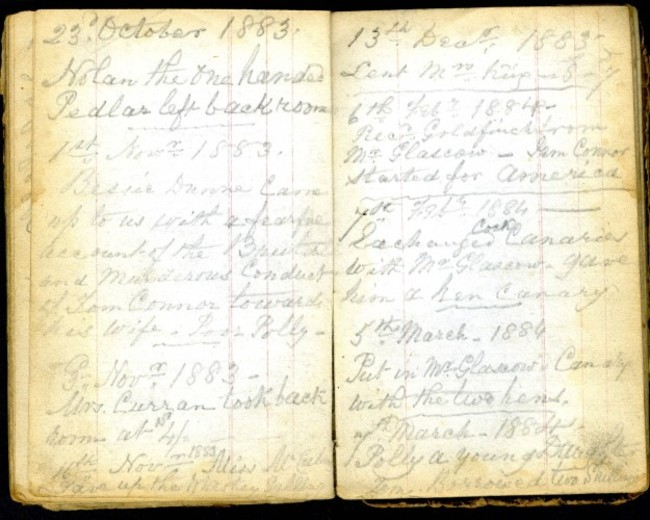 Extract from family diary recording neighbourhood events, 23 October 1883