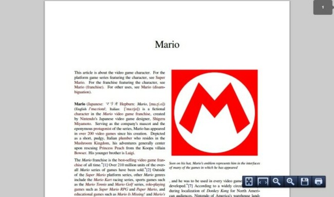 Mario PDF