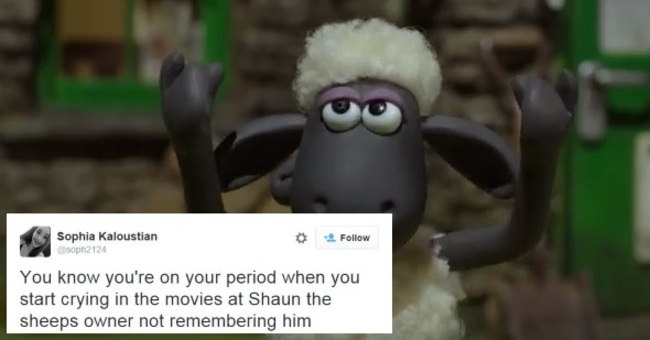 shaun2