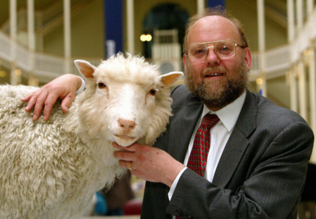 Dolly the Sheep - Preserved.