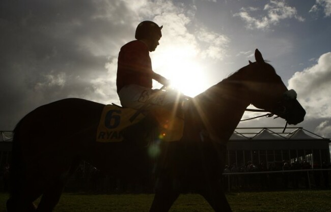 Horse Racing - 2011 Punchestown Festival - Ladbrokes.com World Series Hurdle Day