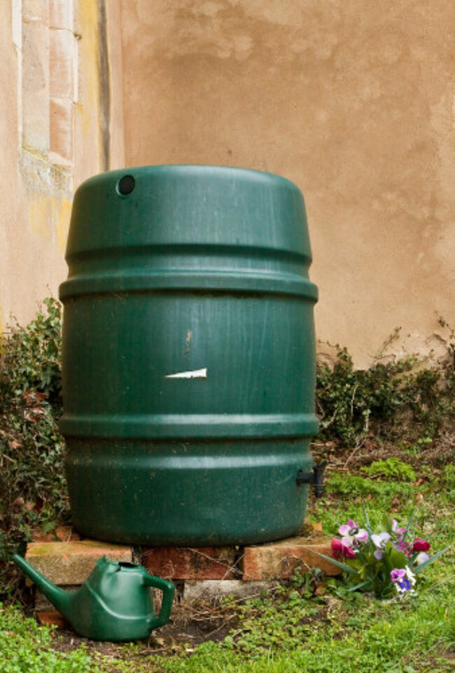 shutterstock_72036202