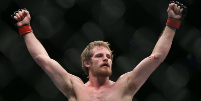 UFC Fight Night - Dublin