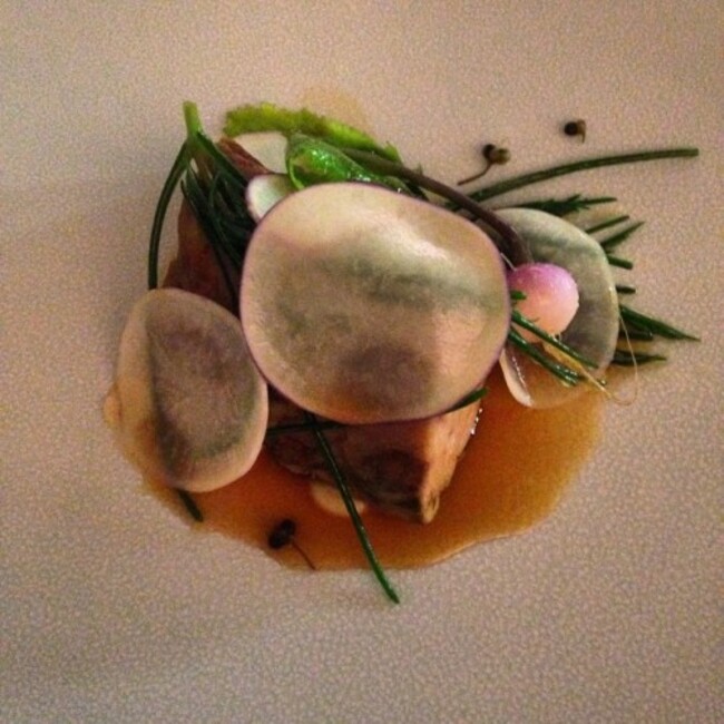 Lamb shoulder, turnip, damson @ Loam in Galway #finedining #lamb #galway #food