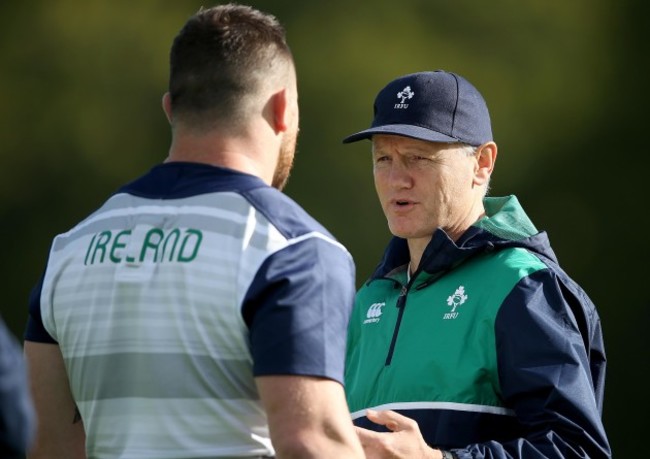 Can Healy and Joe Schmidt