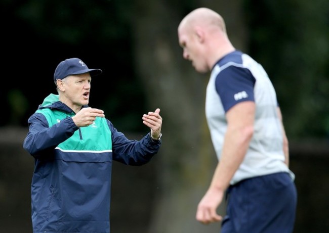 Joe Schmidt