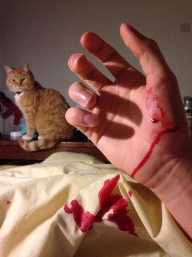 Cats are assholes. (Xpost r/Pics)