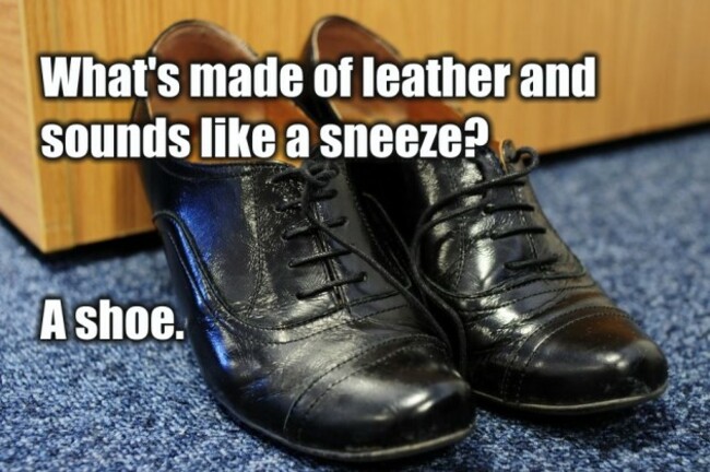 shoe