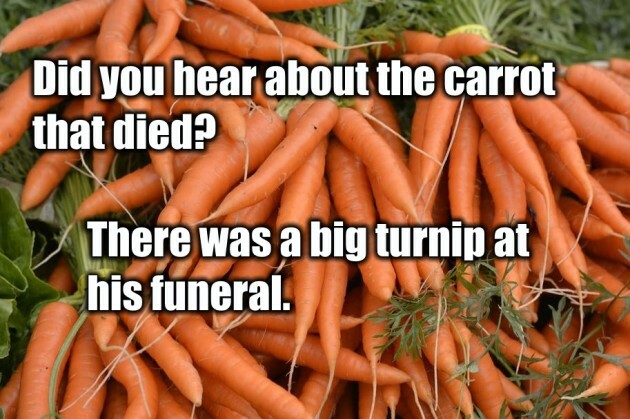 carrot