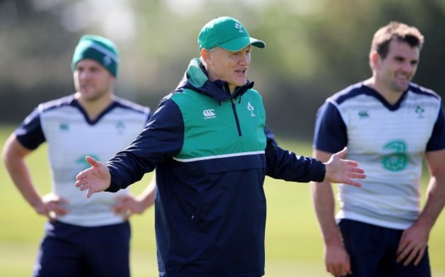 Joe Schmidt