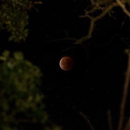 blood moon - 2