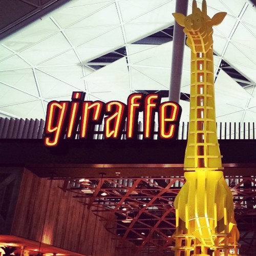 We're now open in @stansted_airport for all of your pre flight foodie needs! You can't miss us (there's a huge giraffe outside!) #london #stansted #airport #flying #food #newopening #restaurant #giraffe #travel