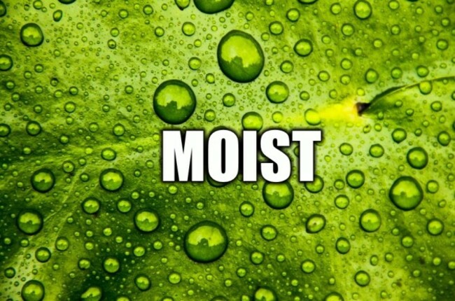 moist