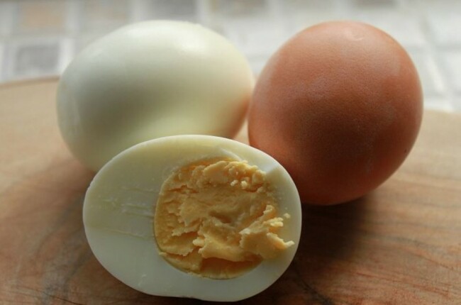 egg