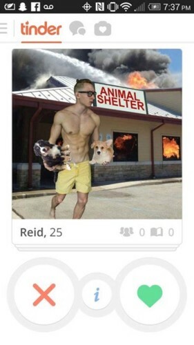 funny-tinder-profile-animal-hospital