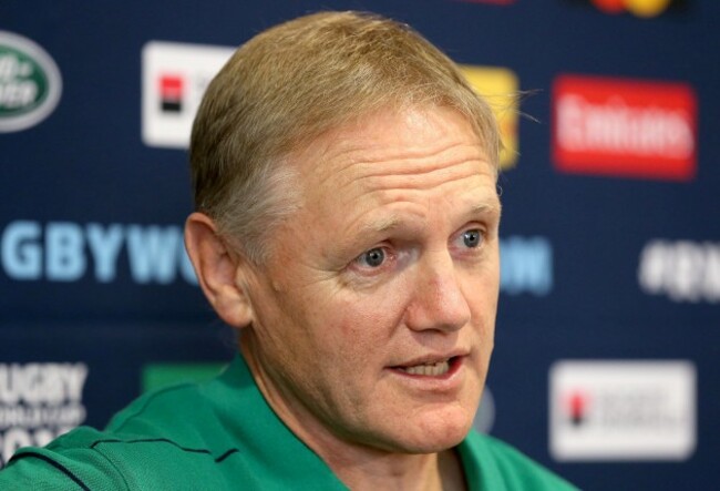 Joe Schmidt