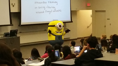My professor dressed up as a minion today. 50 minutes in the costume. Last year he was Darth Vader