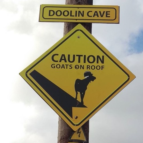 Careful now #fatherted #dangerous #goats #funny #irish #onlyinireland #outdoors #nature #dougal