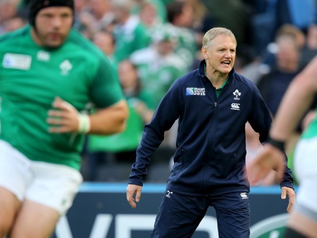 Joe Schmidt