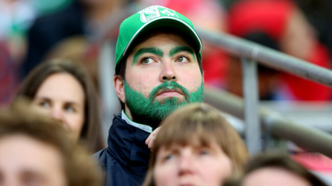 Ireland fans