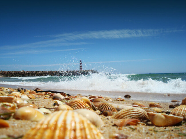 Faro Algarve Portugal Beach Deserta Island