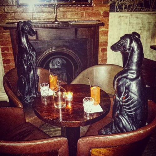 Some quiet customers at the #Blackpearl #greyhounds #greyhoundswithgreyhounds #theattic