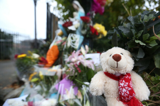 10/10/2015. Fire - Halting Site. Pictured Flowers