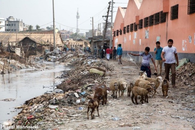 the-rivers-are-so-polluted-that-any-signs-of-life-within-them-are-sparse-they-lost-the-ability-to-host-aquatic-life-long-ago