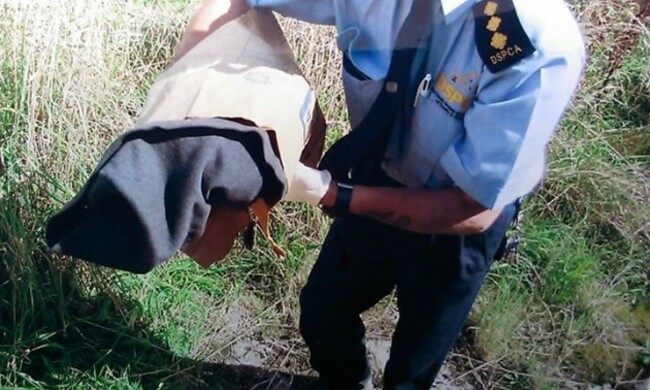 11796219_10153067898240678_4369828726701551482_n