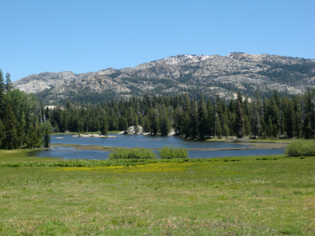 Calaveras Big Trees State Park, California