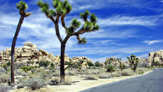 Sky and Rocks, Joshua Tree NP 4-13