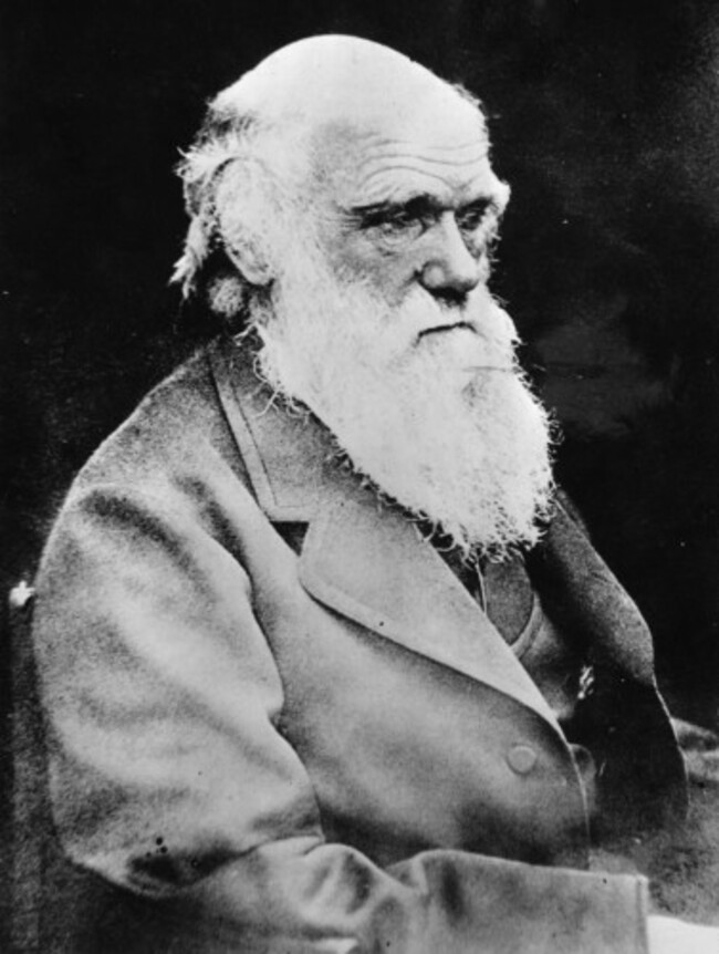 Britain Darwin