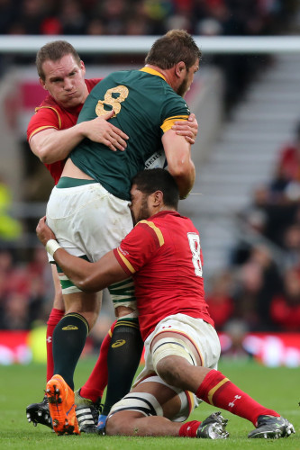 Rugby Union - Rugby World Cup 2015 - Quarter Final - South Africa v Wales - Twickenham