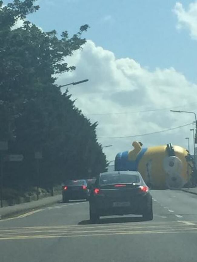 minion1