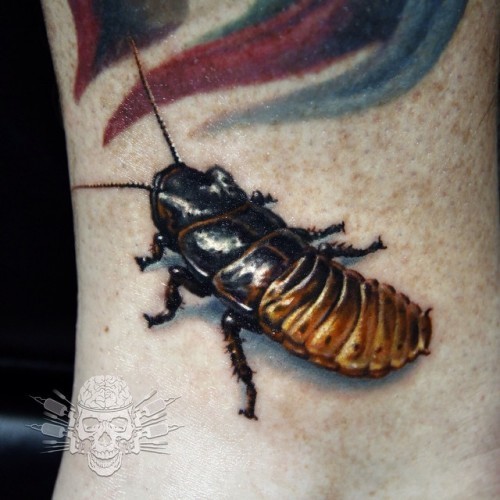 Ahh i finally got my chance to tattoo a hissing cockroach!!! La cucaracha, la cucaracha ya no puede caminar CHA CHA!! Lol thanks @flat_dork_earth for letting me check this off my bucket list!! Now go tag your friends that hate/love roaches of all kind ;) #tattoo #electricink #mithraneedles #hustlebutter #javitattooartist #gross #creepytattoo #hissingcockroach #cockroach #cockroachtattoo #bugtattoo #realistictattoo #ink #art #miami #miamitattooartist www.TattooedTheory.com www.TattooedTheory.com www.TattooedTheory.com