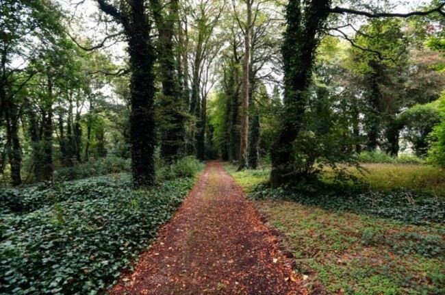 p7tNRkyyfZnHEFGOuPZELp9EdpcXgJdfLnm9hjoeZ8ZsPTEwMjQ=