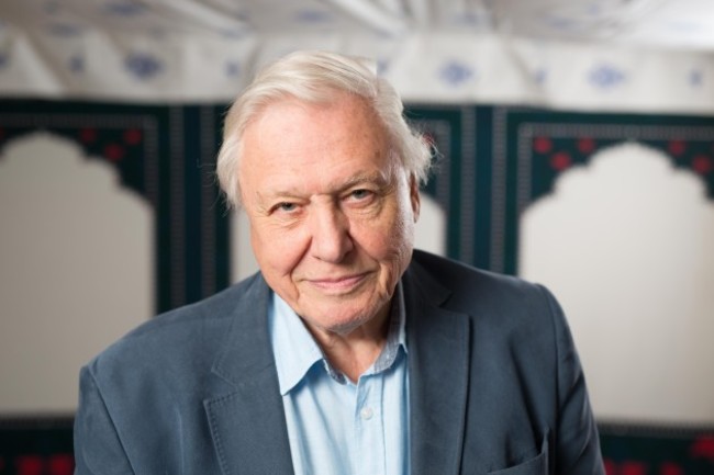 Sir David Attenborough interview