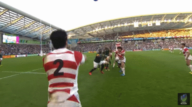 Goromaru try.gif