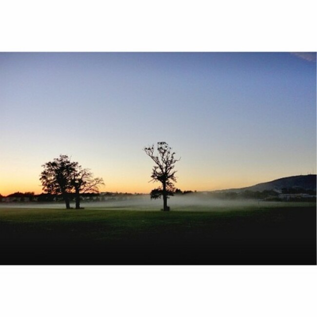 Foggy morning Meadowbrook Park, Dublin #Ireland. #Meadowbrook #irelandaily #Dublin #icu_Ireland #discoverireland #inspireland_ #insta_Ireland #loves_Ireland #bestofireland #irishpassion #irelandaily #wanderlust #thewanderlustjournal #wanderireland #the_photo_lab #thedublinbible #ig_Dublin #dublinviews #Dublinow #igersdublin #lovedublin #dublinsfaircity #IGERSDUBLIN #insp_dub #lovindublin