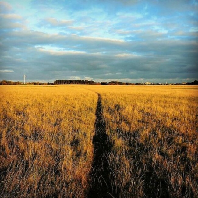 #phoenixpark