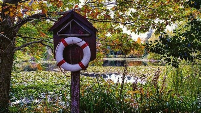 #autumn #autumnleaves #goldenleaves #scenery #green #ireland_gram #ireland_inspires #dublin #irelandaily #ireland #discoverireland #wanderireland #instaireland #trees #naturephotography #worldroamers #wanderlust #outdoorphotography #outdoor #watercolor #discoverdublin #lake #reflection #dublincity #dublindaily #autumnweather #autumncolors #colorful #calm #phoenixpark